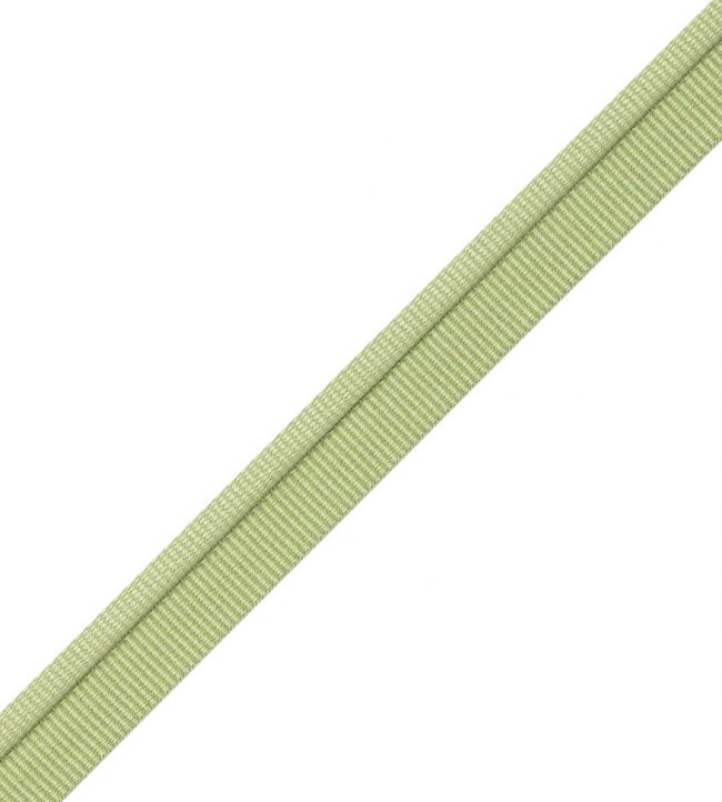 Julienne Piping Trimming by Samuel & Sons Honeydew
