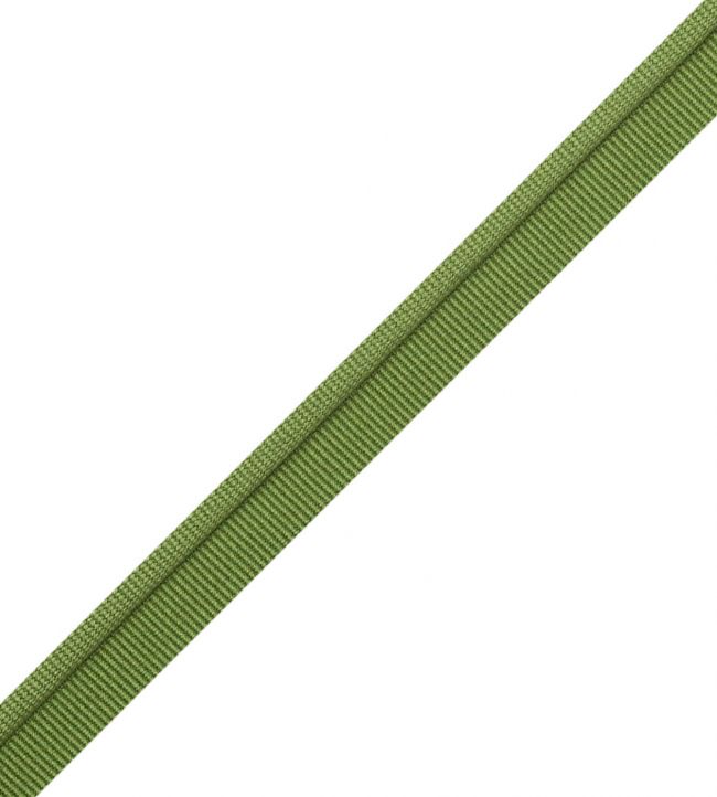 Julienne Piping Trimming by Samuel & Sons Parsley