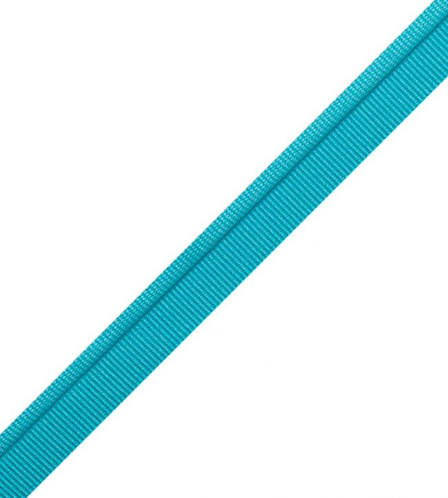 Julienne Piping Trimming by Samuel & Sons Pool