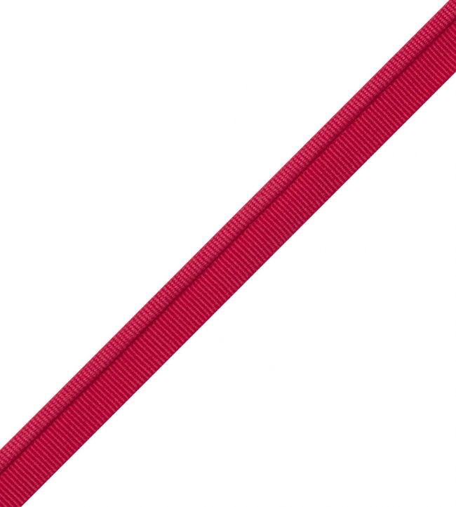 Julienne Piping Trimming by Samuel & Sons Raspberry