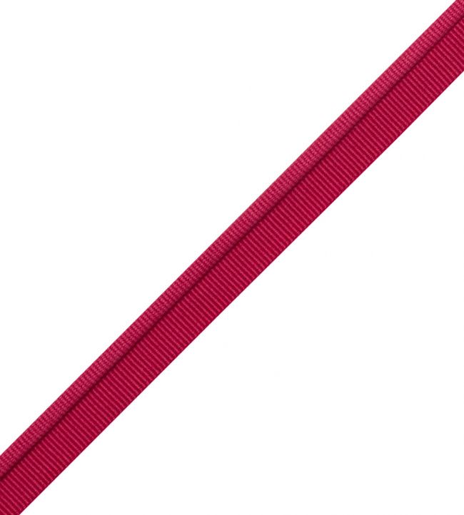 Julienne Piping Trimming by Samuel & Sons Snapdragon