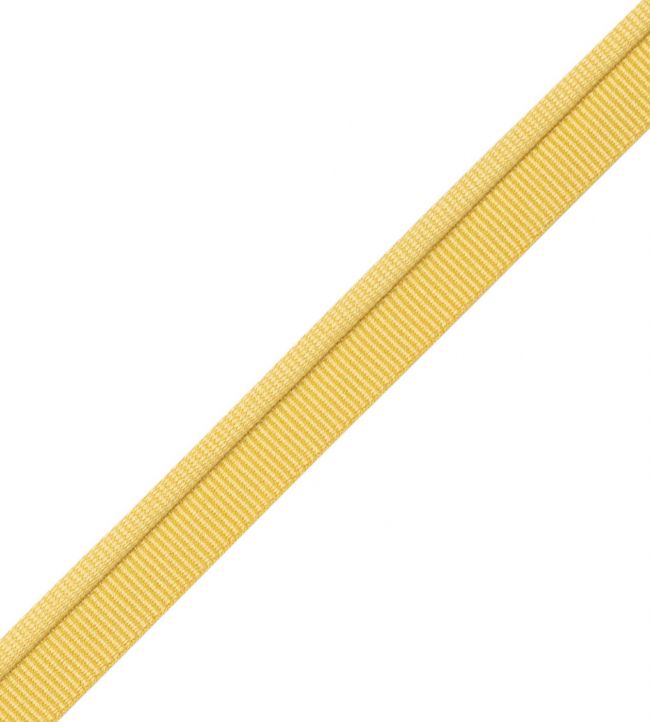 Julienne Piping Trimming by Samuel & Sons Sun