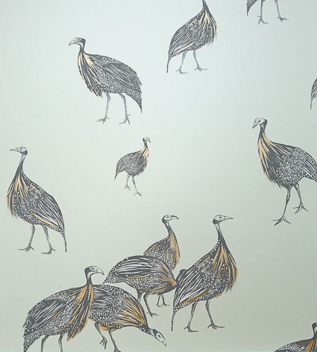 Birds of a Feather Wallpaper by Juliet Travers in 1 | Jane Clayton