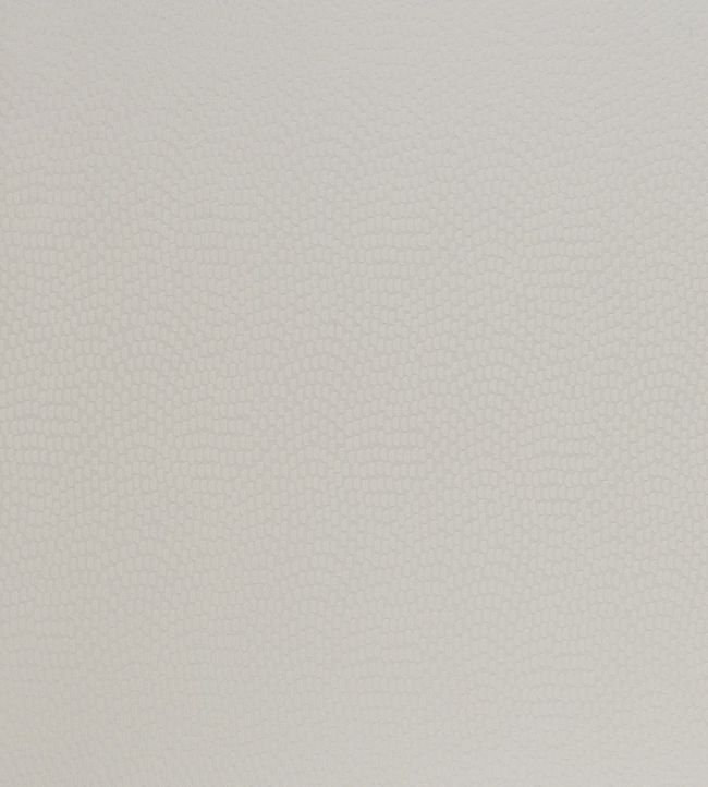 Sudetes Fabric by Kai Oyster