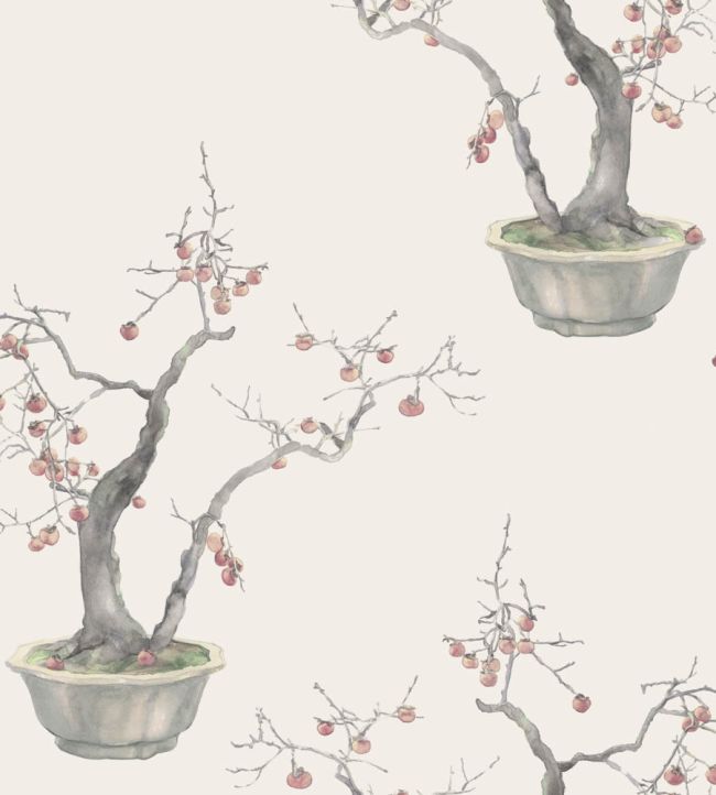 Kaki Persimmon Wallpaper by Cole & Son Silver