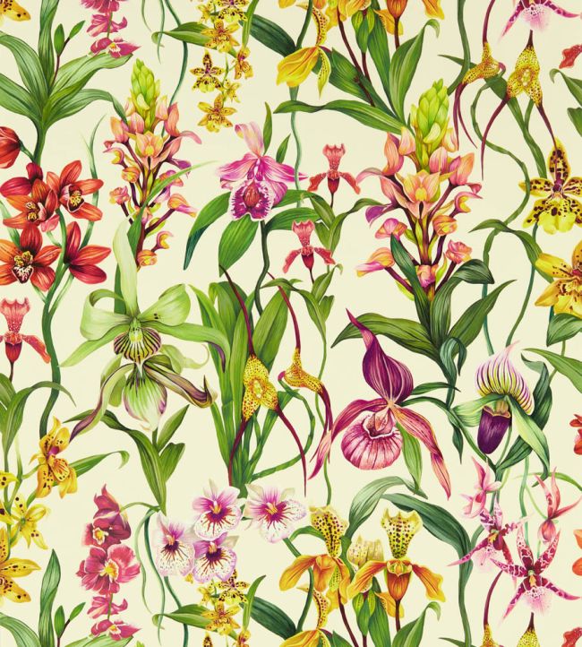 Kalina Wallpaper in Parchment / Forest / Azalea by Harlequin | Jane Clayton