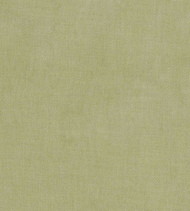 Kauri Fabric by Camengo Olive