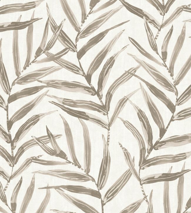 Ki Wallpaper in Espresso by The Pure Edit Jane Clayton