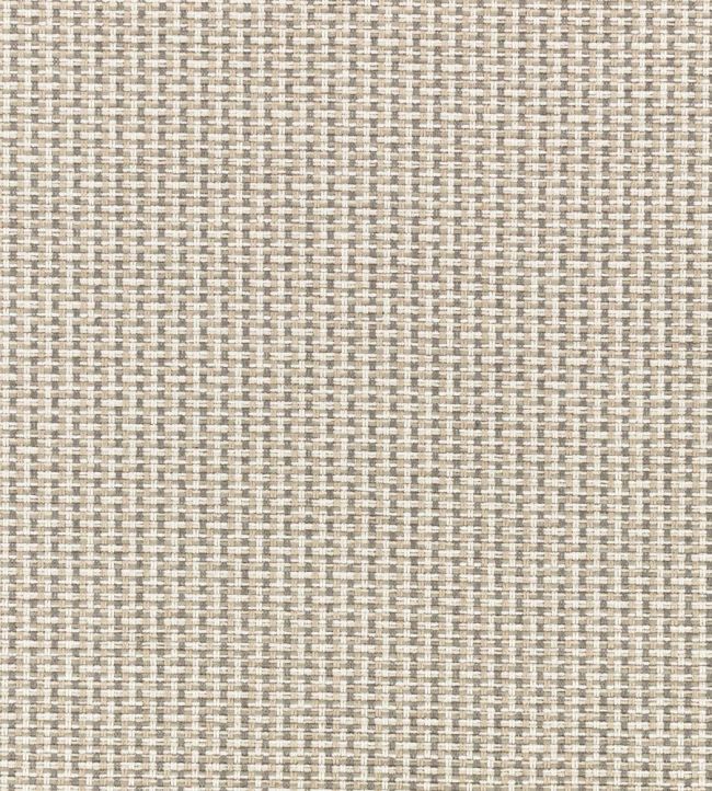 Kiku Fabric by Romo Taupe
