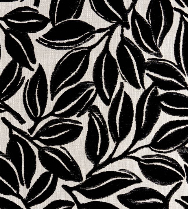Kona Fabric by Thibaut Ebony