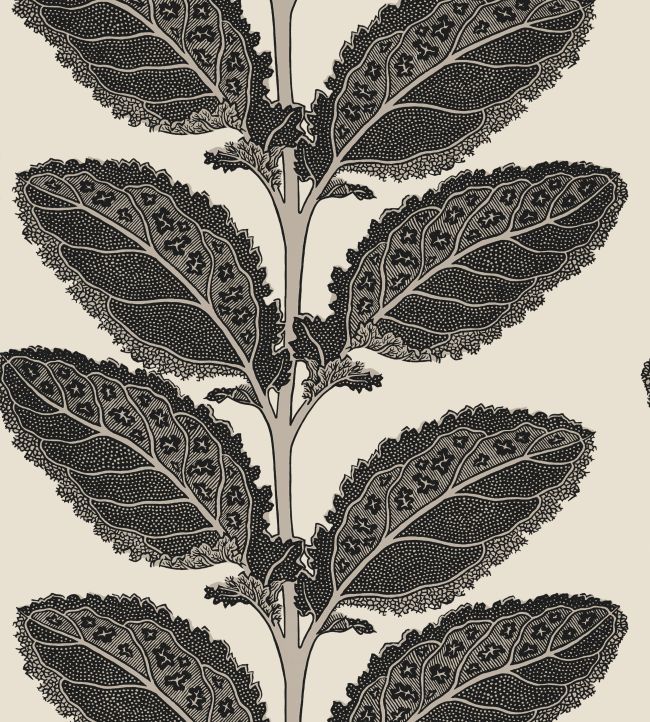 Lacinato Wallpaper by Thibaut Basalt Black