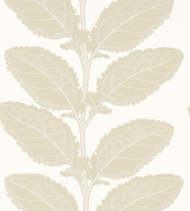 Lacinato Wallpaper by Thibaut Birch