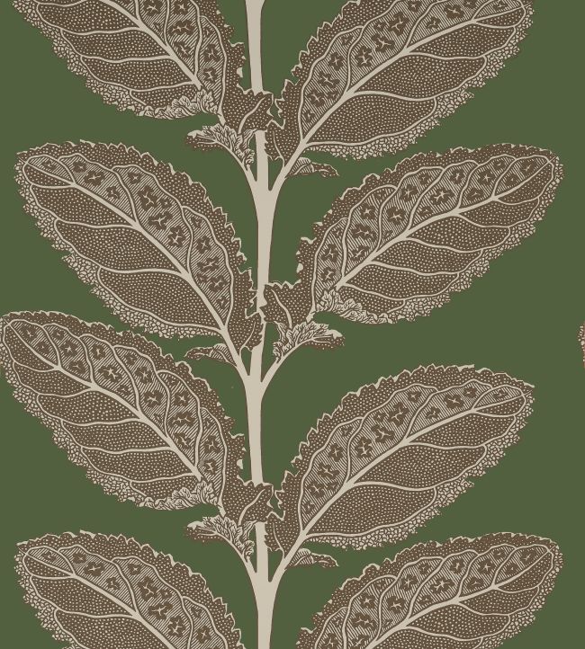 Lacinato Wallpaper by Thibaut Wild Sage