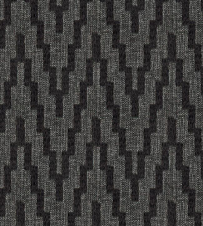 Laurieston Fabric by Wemyss Carbon
