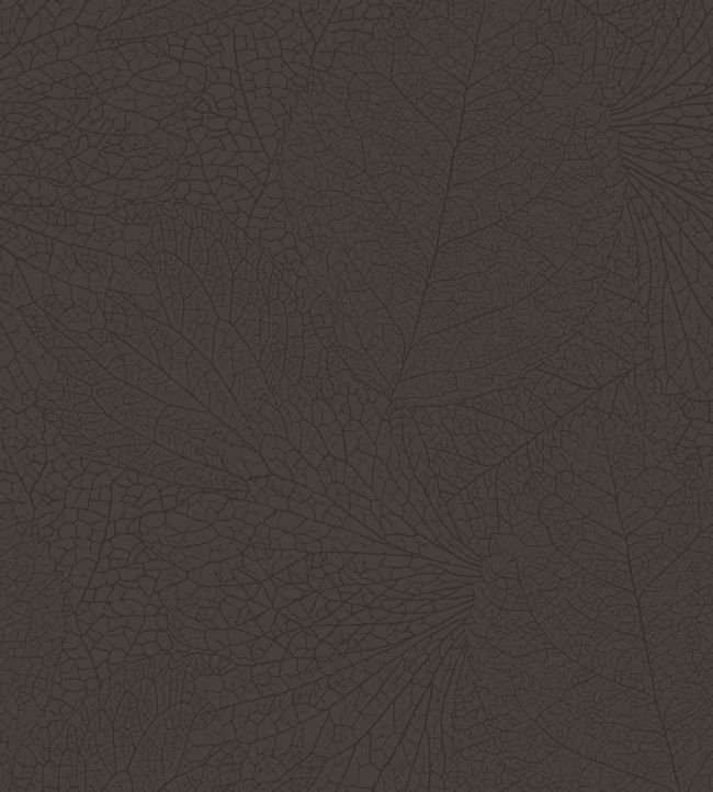 Leaf Vein Wallpaper by Eijffinger Brown/Taupe