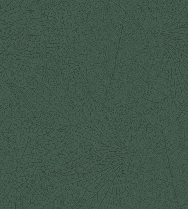 Leaf Vein Wallpaper in Dark Green by Eijffinger Jane Clayton