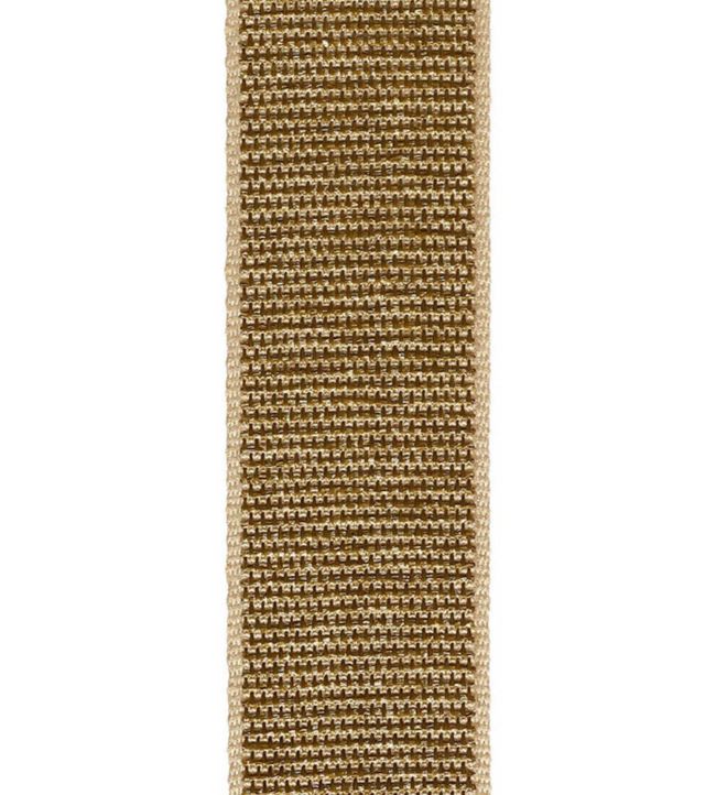Leandro Raffia Braid 60mm Trimming by Houles 9100