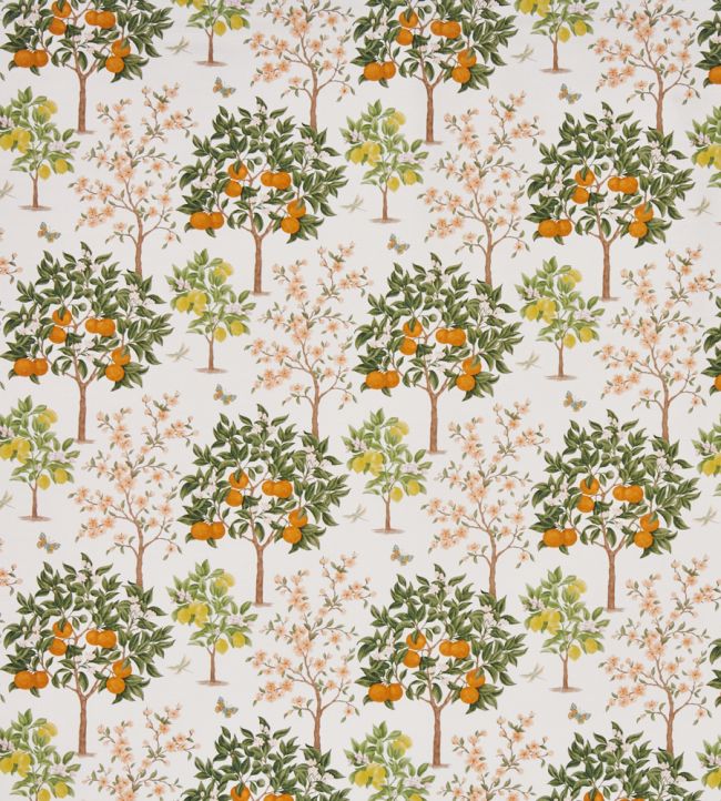 Lemon Grove Fabric by Prestigious Textiles Pear