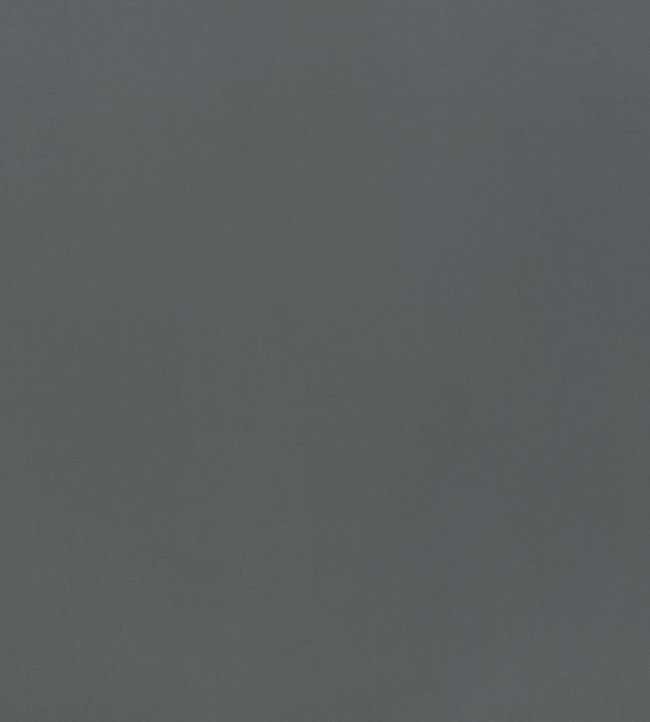 Lexington Fabric by Mark Alexander Carbon Grey