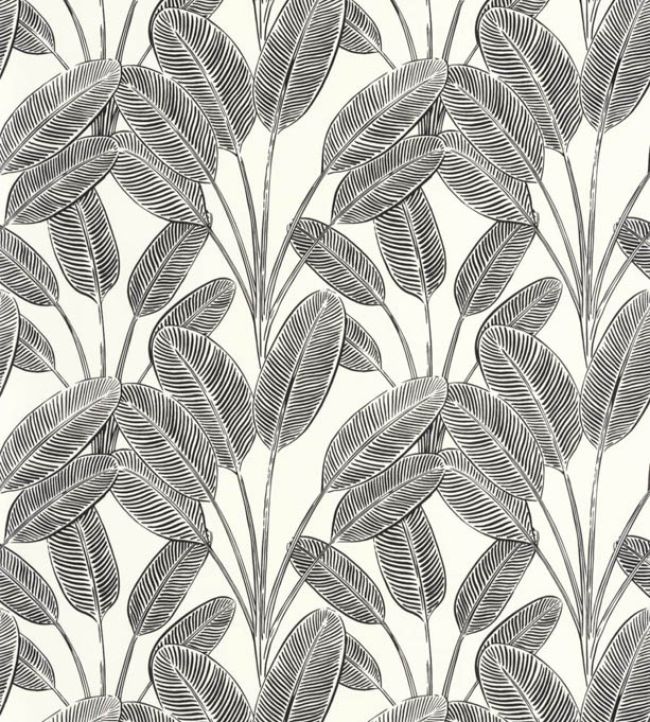 Little Banana Wallpaper in Blanc Noir by Caselio Jane Clayton
