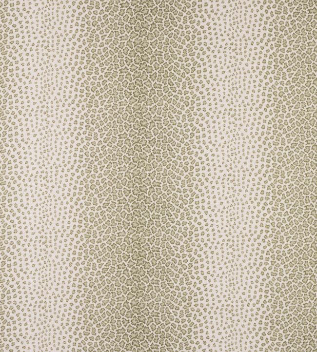 Livingstone Fabric by Colefax and Fowler Olive Green
