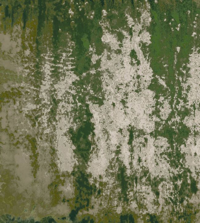 Lustre Fabric by Arley House Ivy