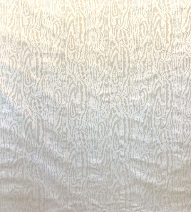 Mancini Fabric by Casal Beige