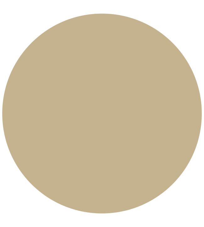 Zoffany Manila True Matt Emulsion Paint Jane Clayton