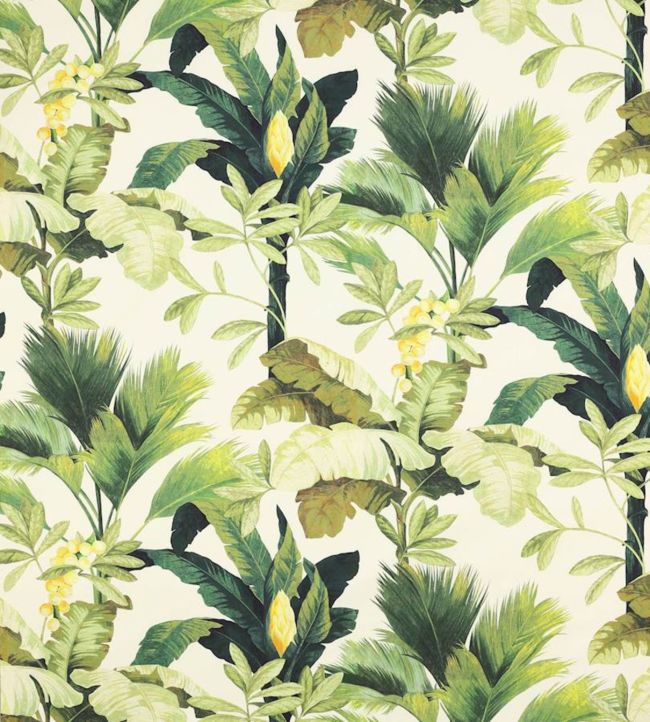 Salengro Fabric by Manuel Canovas Anis