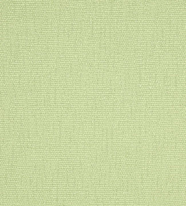 Selma Fabric by Manuel Canovas Cactus