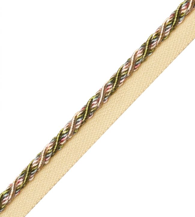 Margaux Cord With Tape Trimming by Samuel & Sons Fleurs D'Ete