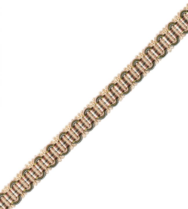 Margaux Gimp Trimming by Samuel & Sons Fleurs D'Ete