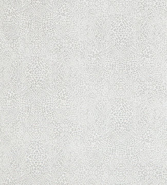 Margay in Silver by Osborne & Little Jane Clayton