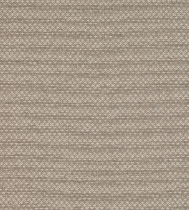 Shifu Wallpaper by Mark Alexander Parchment