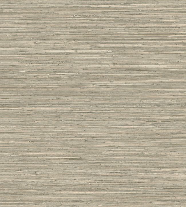 Matiz Wallpaper in Elephant by Arte Jane Clayton