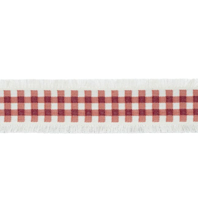 MDS Check Border Trimming by Samuel & Sons Berry