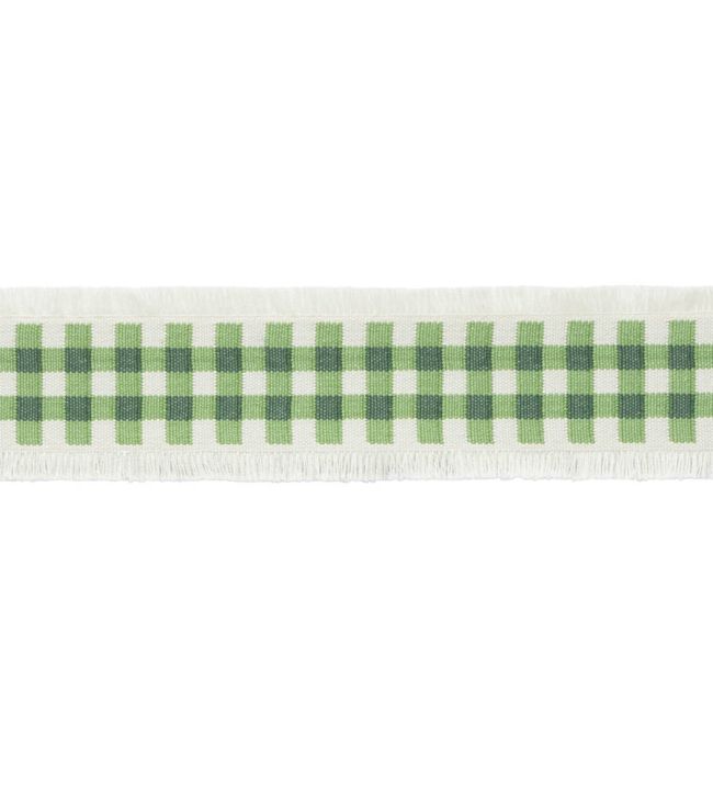 MDS Check Border Trimming by Samuel & Sons Leaf