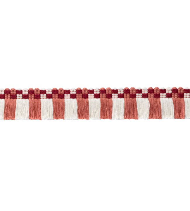 MDS Check Brush Fringe Trimming by Samuel & Sons Berry