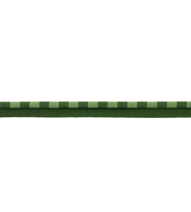 MDS Stripe Piping Trimming by Samuel & Sons Evergreen