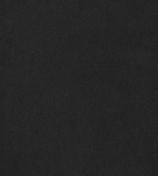 Miles Mohair Velvet Fabric in Charcoal by Thibaut Jane Clayton