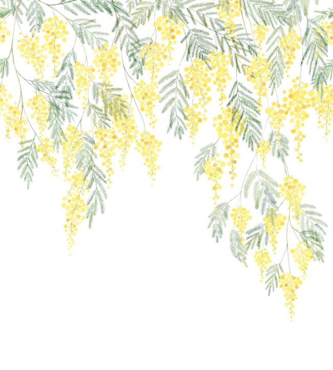 Mimosa Mural by Casadeco Bouton d'or