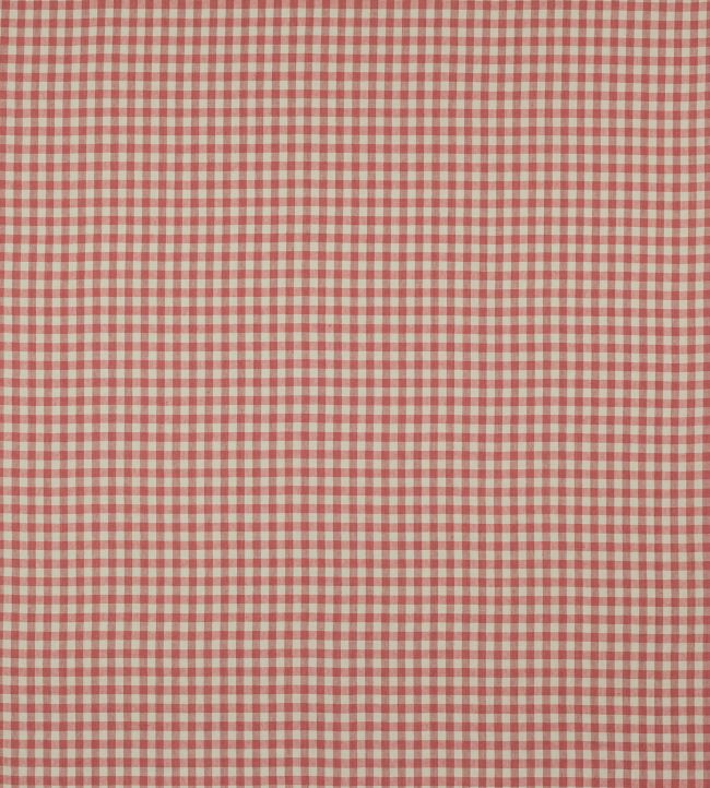 Minack Check Fabric by Colefax and Fowler Brick