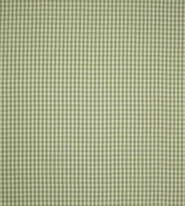 Minack Check Fabric by Colefax and Fowler Leaf