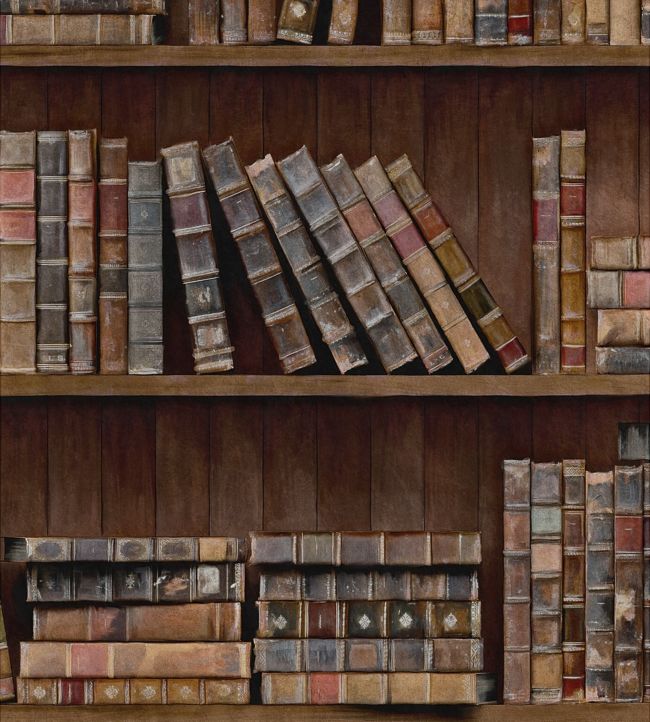 Book Shelves Wallpaper By Mind The Gap, Cool Bookshelves Wallpaper