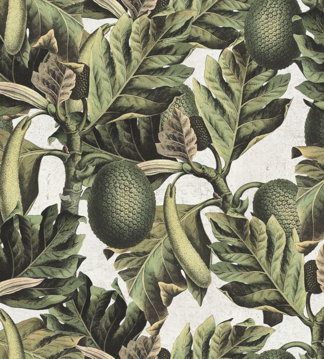 Exotic Fruit I Wallpaper by MINDTHEGAP Green