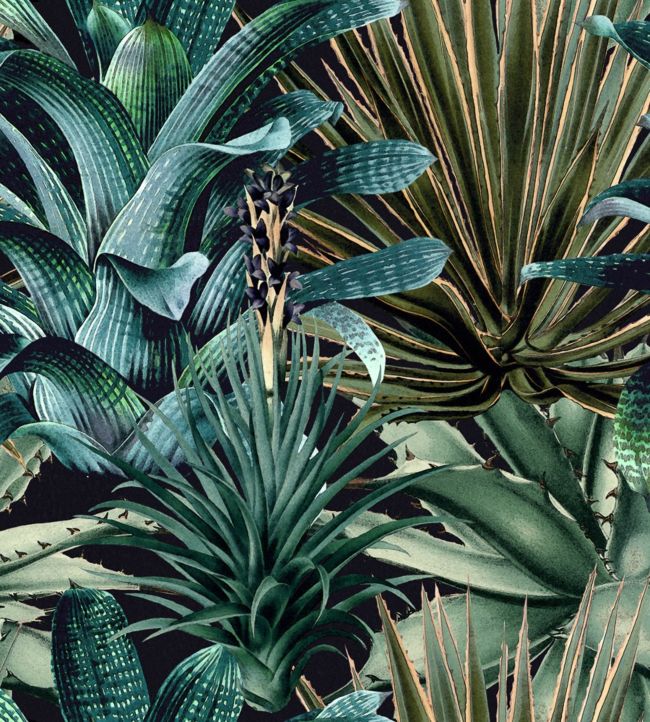 Lush Succulents Wallpaper by MINDTHEGAP Black,Green