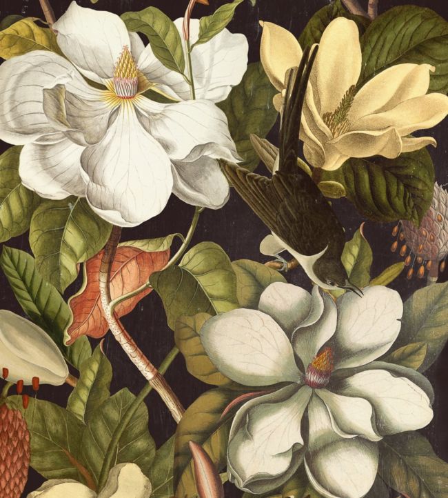 Magnolia Wallpaper by MINDTHEGAP