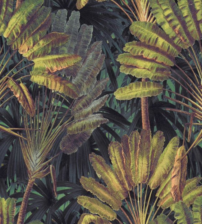 Traveller's Palm Wallpaper by MINDTHEGAP 26