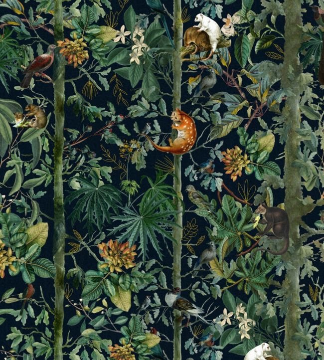 Wildlife Of Papua Wallpaper by MINDTHEGAP 27
