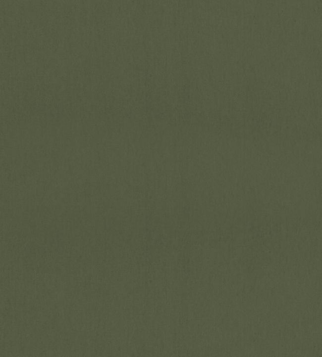 Mirasol Velvet Fabric by Thibaut Juniper